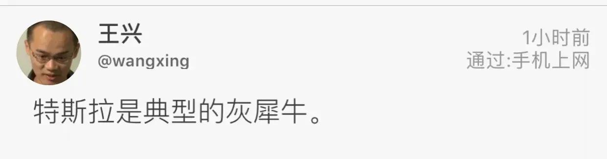 美团王兴：特斯拉是灰犀牛，什么梗？