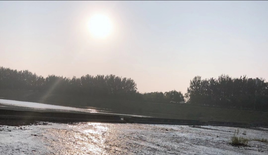 岛城观察|诗人王竞成《小溪的情书》诗歌评论