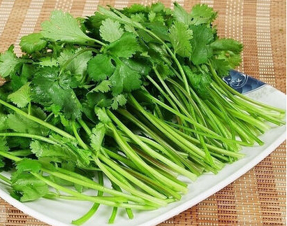 你不爱吃香菜，同样韩国人也不爱吃香菜？专家告诉你答案