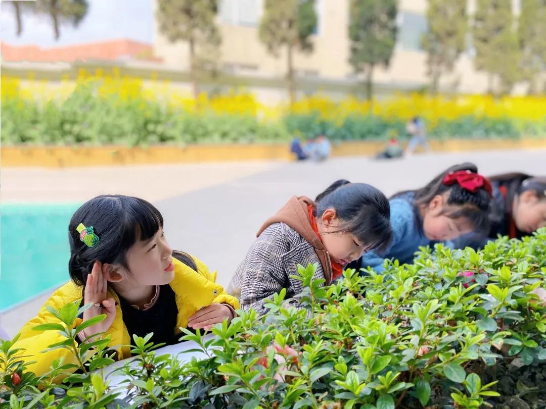 带上五官到校园里寻找春天——成都市华中附小大自然的语文课