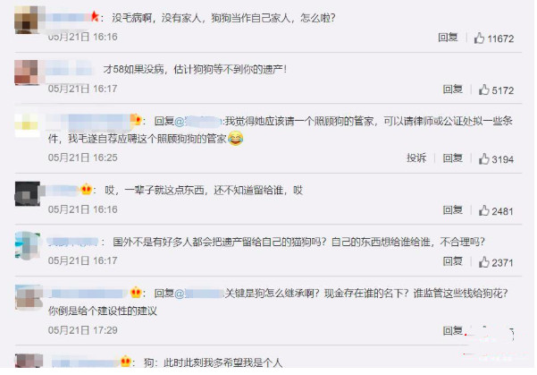 湖北大爷欲立遗嘱留百万给两只宠物狗，亲生儿子是让他有多失望？