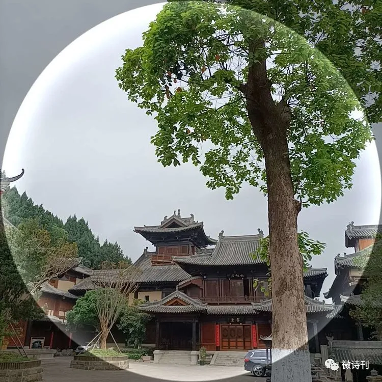 新诗推荐:著名诗人安娟英诗歌专辑