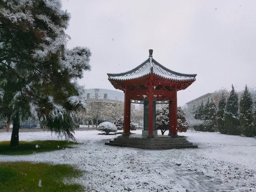 西安下雪啦!忽如一夜春风来,西安一梦回长安