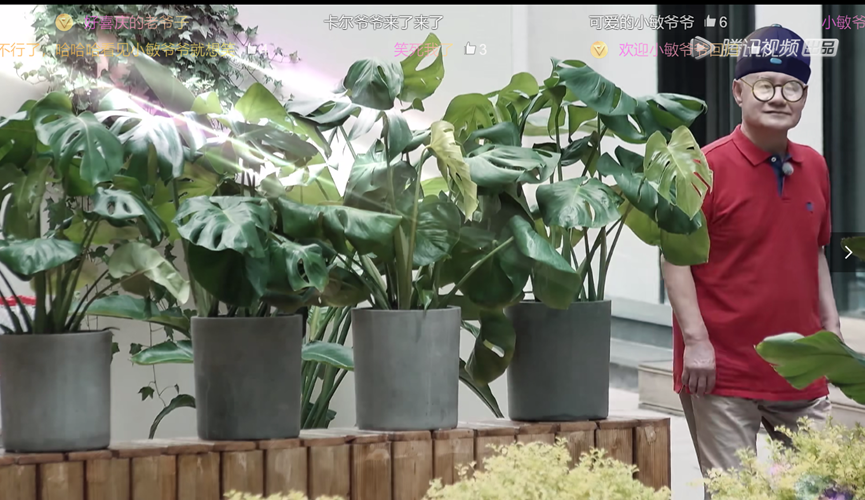 《忘不了餐厅》第二季开播了，有深度的综艺，