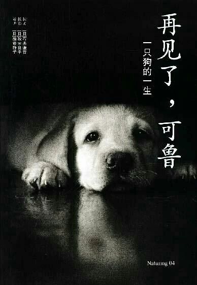 Touch 300 million people guide blind dog small Q, explain responsibility and faithful essence
