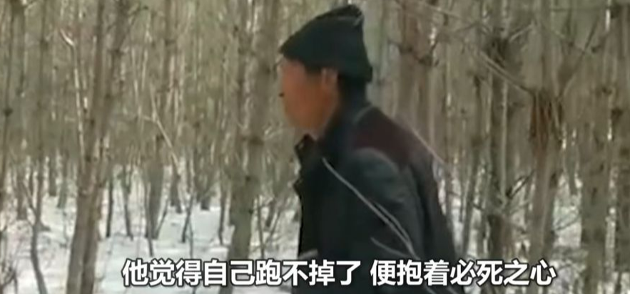 深山遇猛虎，黑龍江一老漢與虎兩米對峙，教科書般操作后全身而退