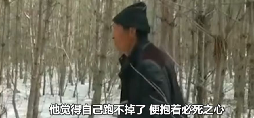 深山遇猛虎，黑龍江一老漢與虎兩米對(duì)峙，教科書般操作后全身而退