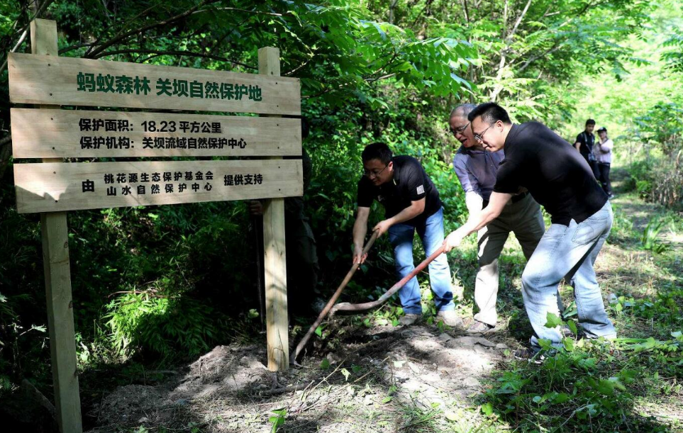 马云打造的“另类独角兽”，5亿人花了5年时间，今价值不可估量
