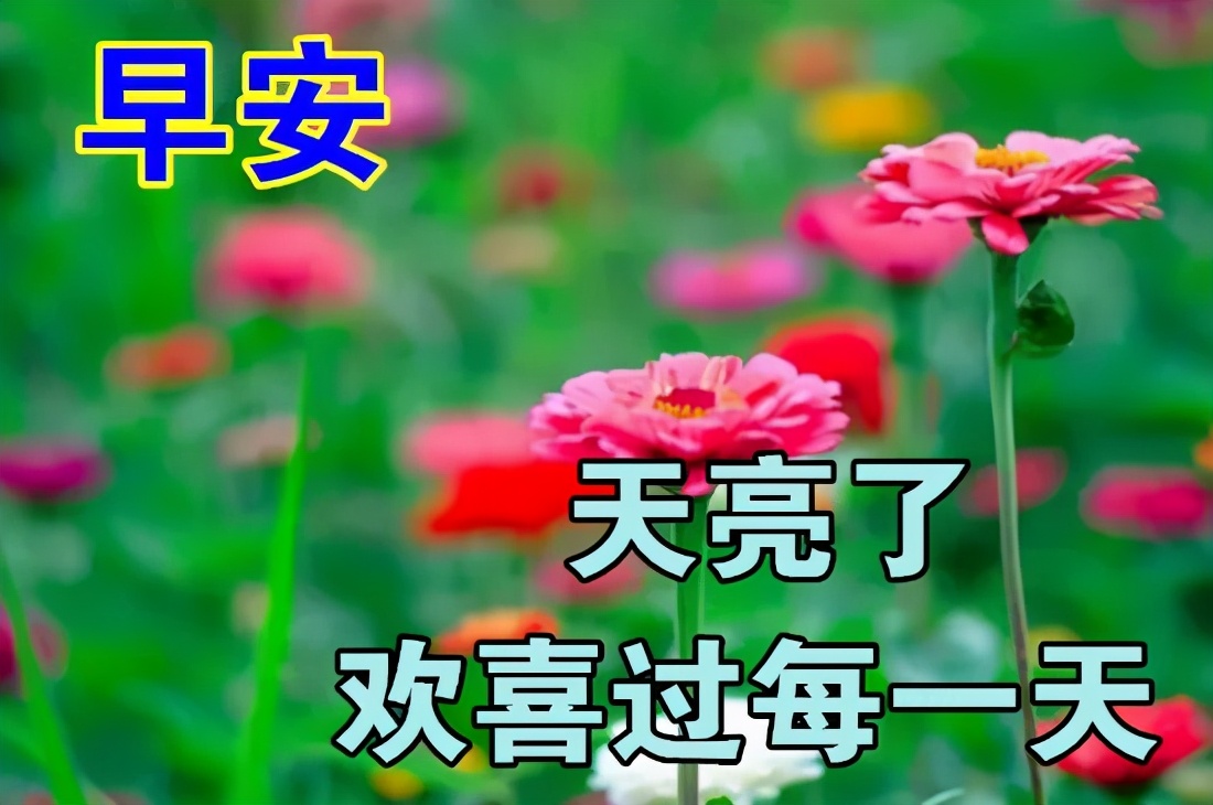早上好问候语动态表情图文字，微信新的漂亮祝福语图片图片