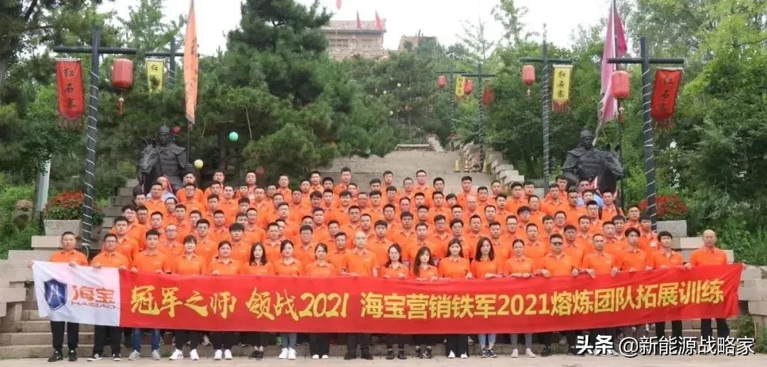 能上牌，代步、接娃都方便的电动小三轮，金彭、宗申等都出手了