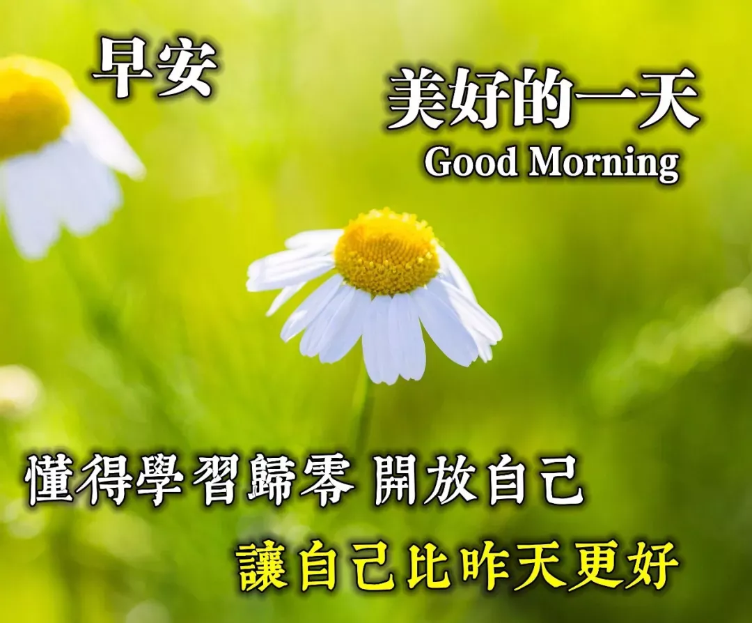 早上好问候语动态表情图文字，微信新的漂亮祝福语图片图片
