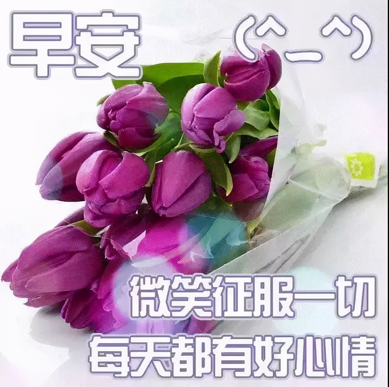 最新的早上问好祝福图片带字，最真诚的早安问候美图图片