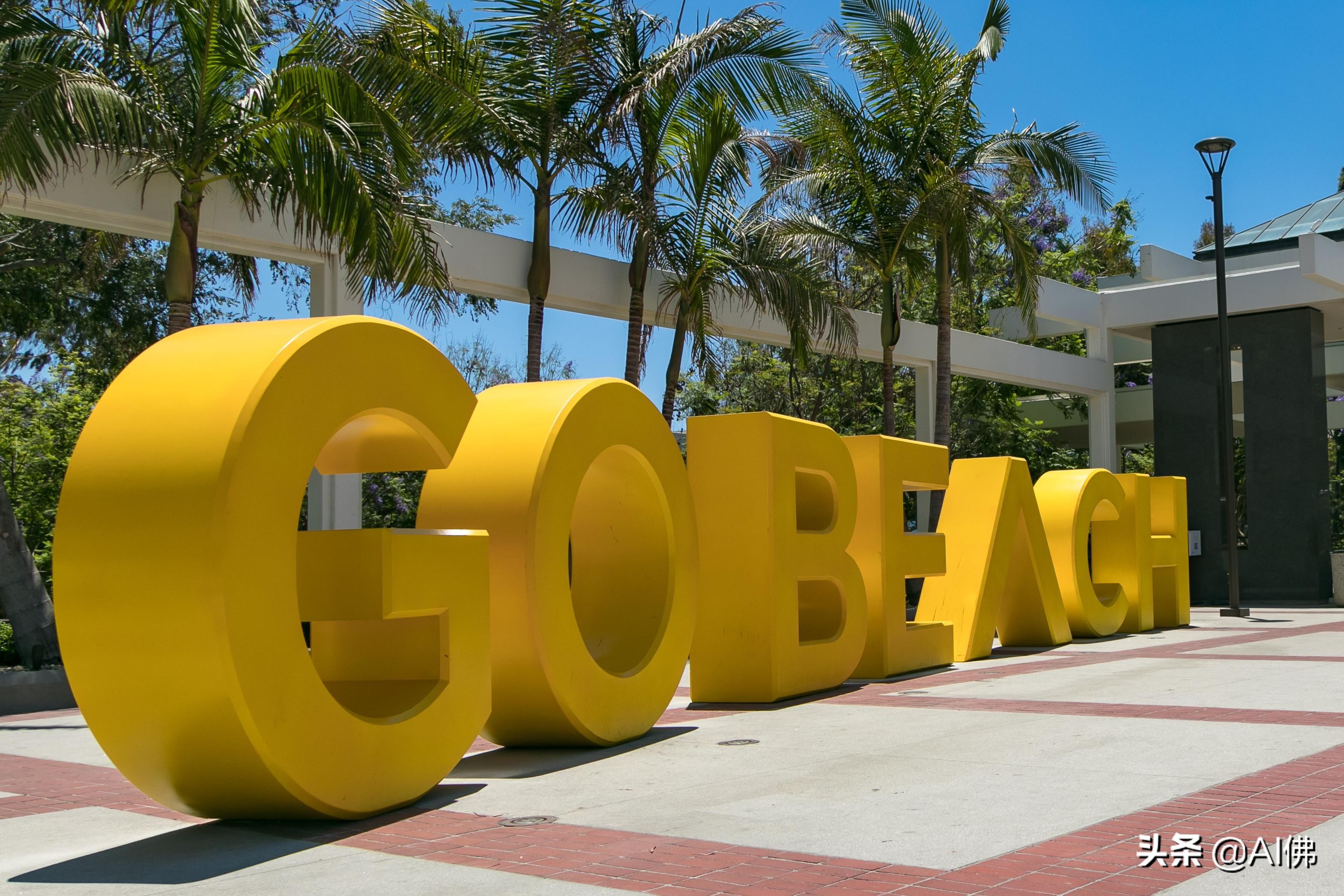 美国最好的50个大学城