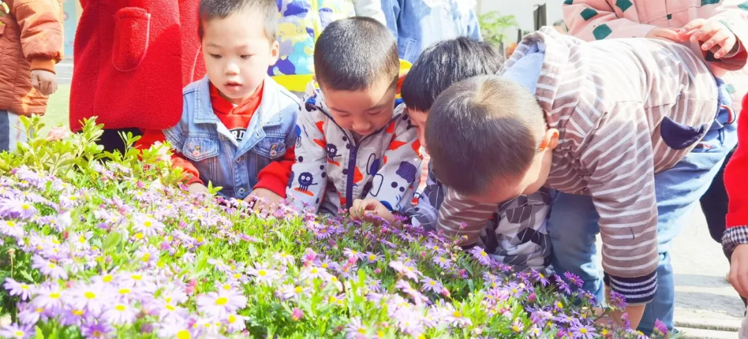 拥抱春天——四川天府新区华阳幼儿园小四班主题活动
