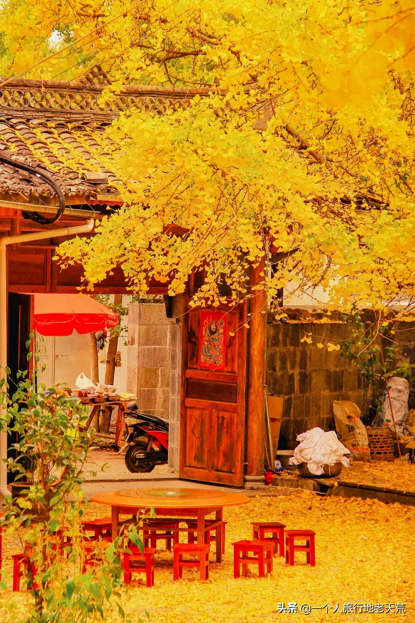这才是11月中国最美的15个地方，人少景美价格低，挑一个出发