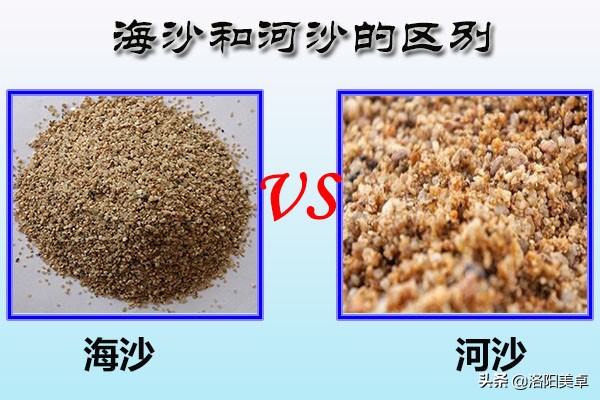 涨知识 | 海沙河沙分不清?洛阳美卓详解海沙与河沙的区别是什么