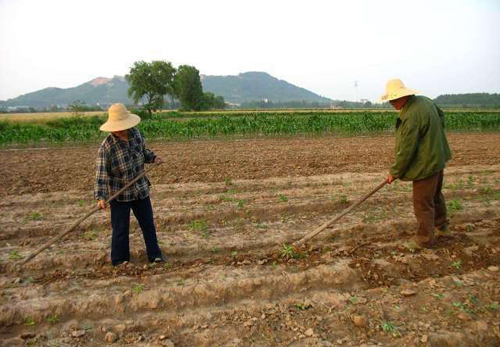 如果农民能领退休工资，对社会有啥影响？