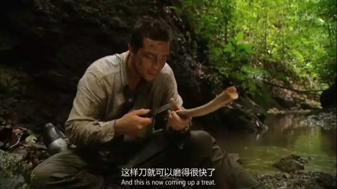 鸡肉味嘎巴脆!盘点《荒野求生》与贝爷的那些梗~