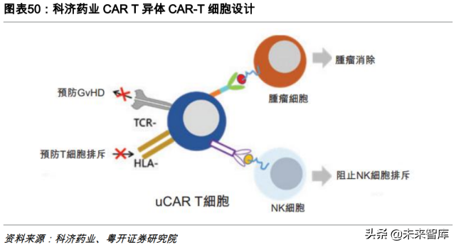 CAR-T细胞疗法专题研究：行远自迩，踔厉奋发