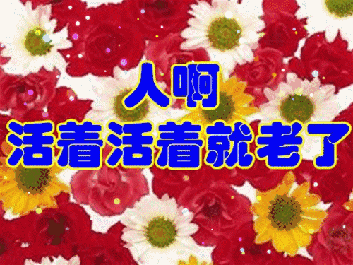 上好|正月十一早上好清晨第一声问候送给你，祝你天天好心情