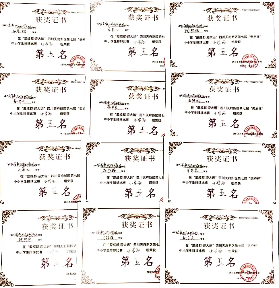 「天府新区华阳中学附属小学•体育」与球共舞,垫起时代新未来