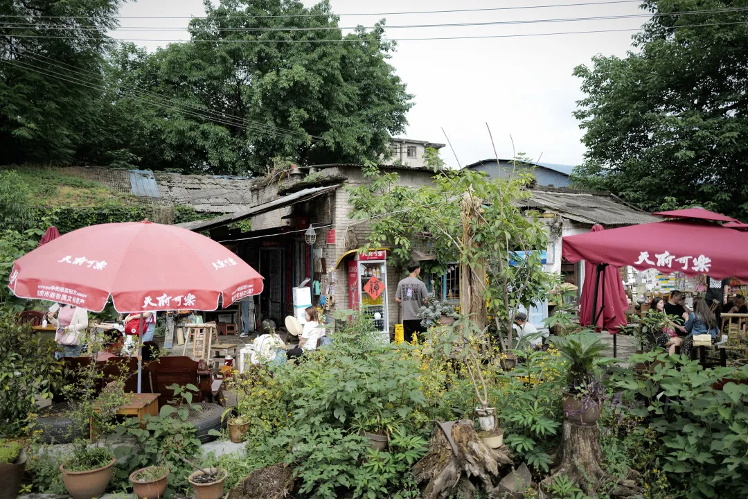 重庆旅游惊!竟然有人说重庆不适合旅游?