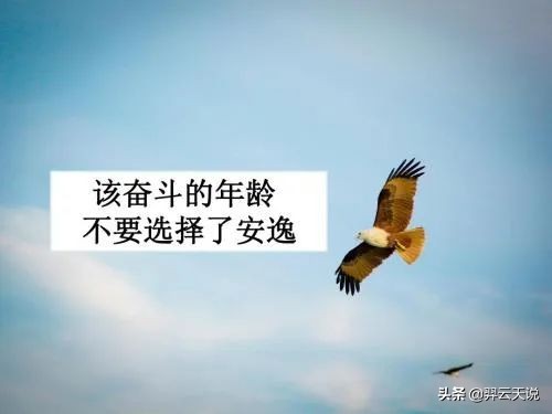 拼多多员工事件：为什么打工人追求安逸生活反而成了负能量？