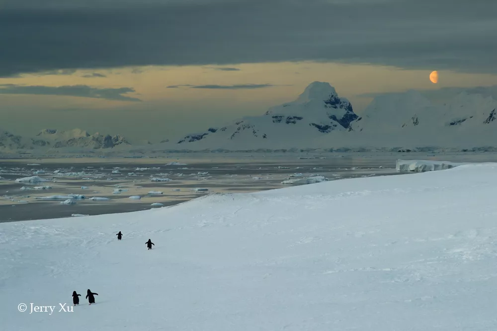 你见过凌晨2点半的南极半岛吗？