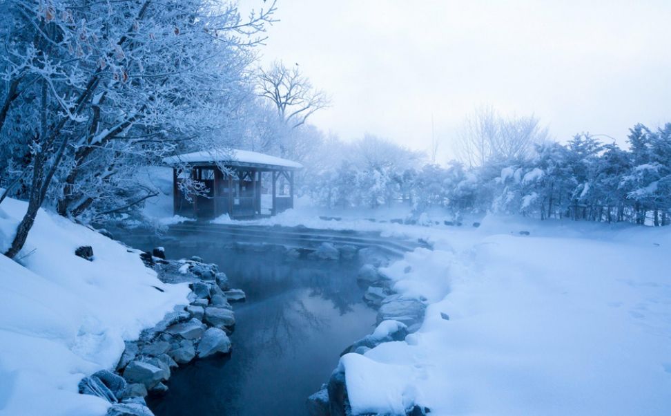 冬日有情还可爱，最美的冬日古诗词-第9张图片-诗句网