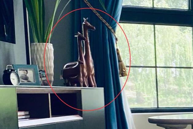 张亮晒照为女儿庆生，谁注意了他豪宅内的东西