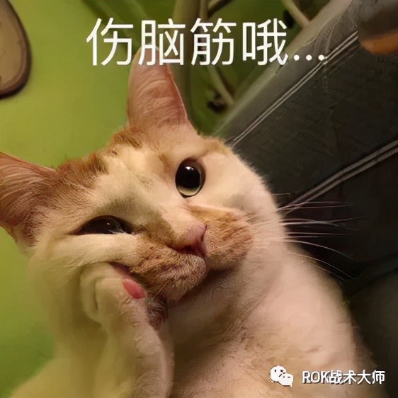 万国觉醒丨征服赛季注意事项
