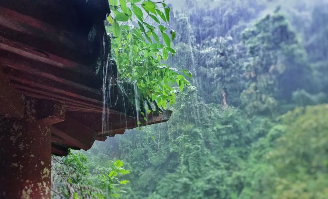 最美的春雨诗词，春雨润万物，人间朝气生-第8张图片-非凡网