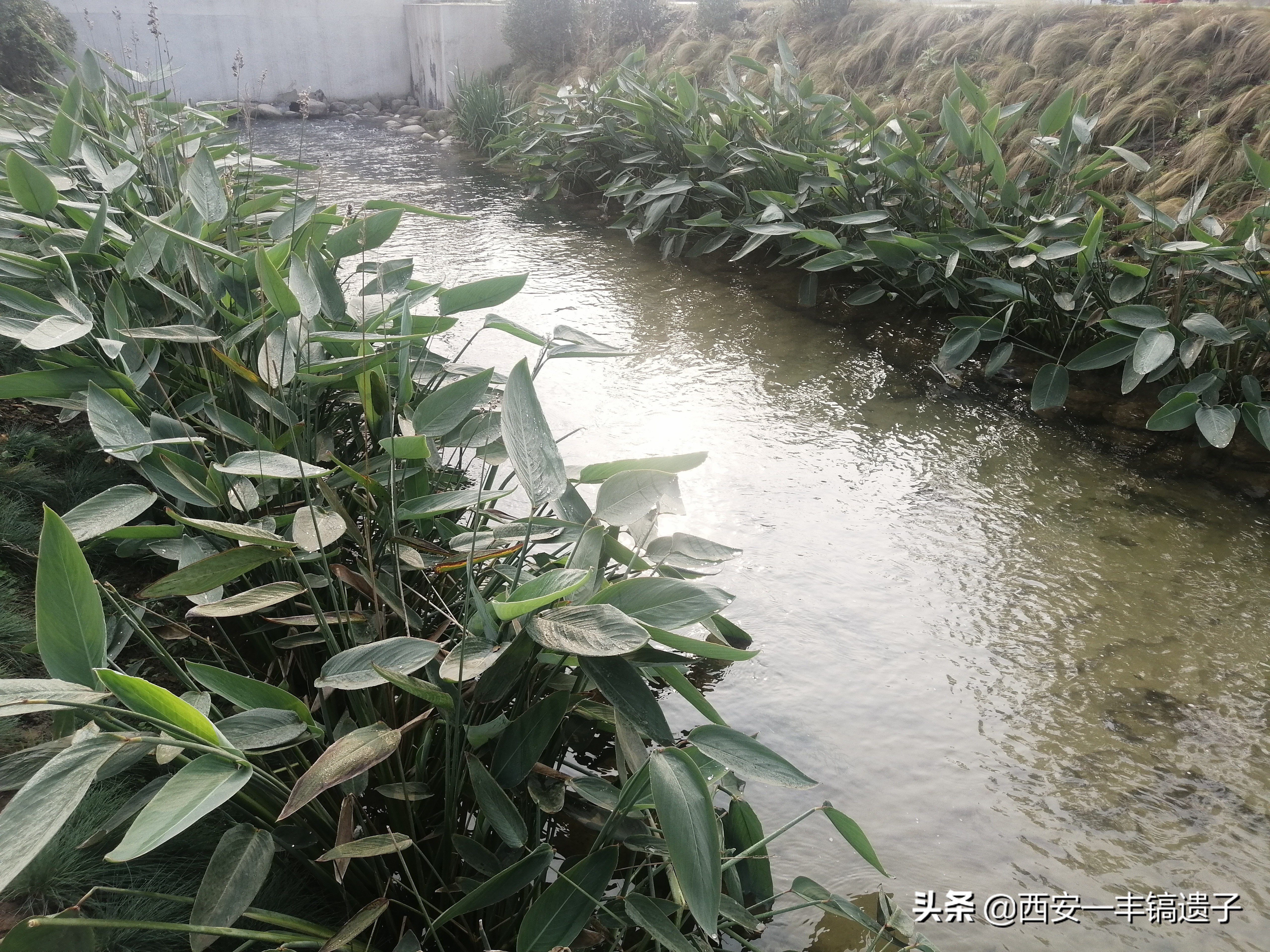 �������������������ӵ�ǰ������