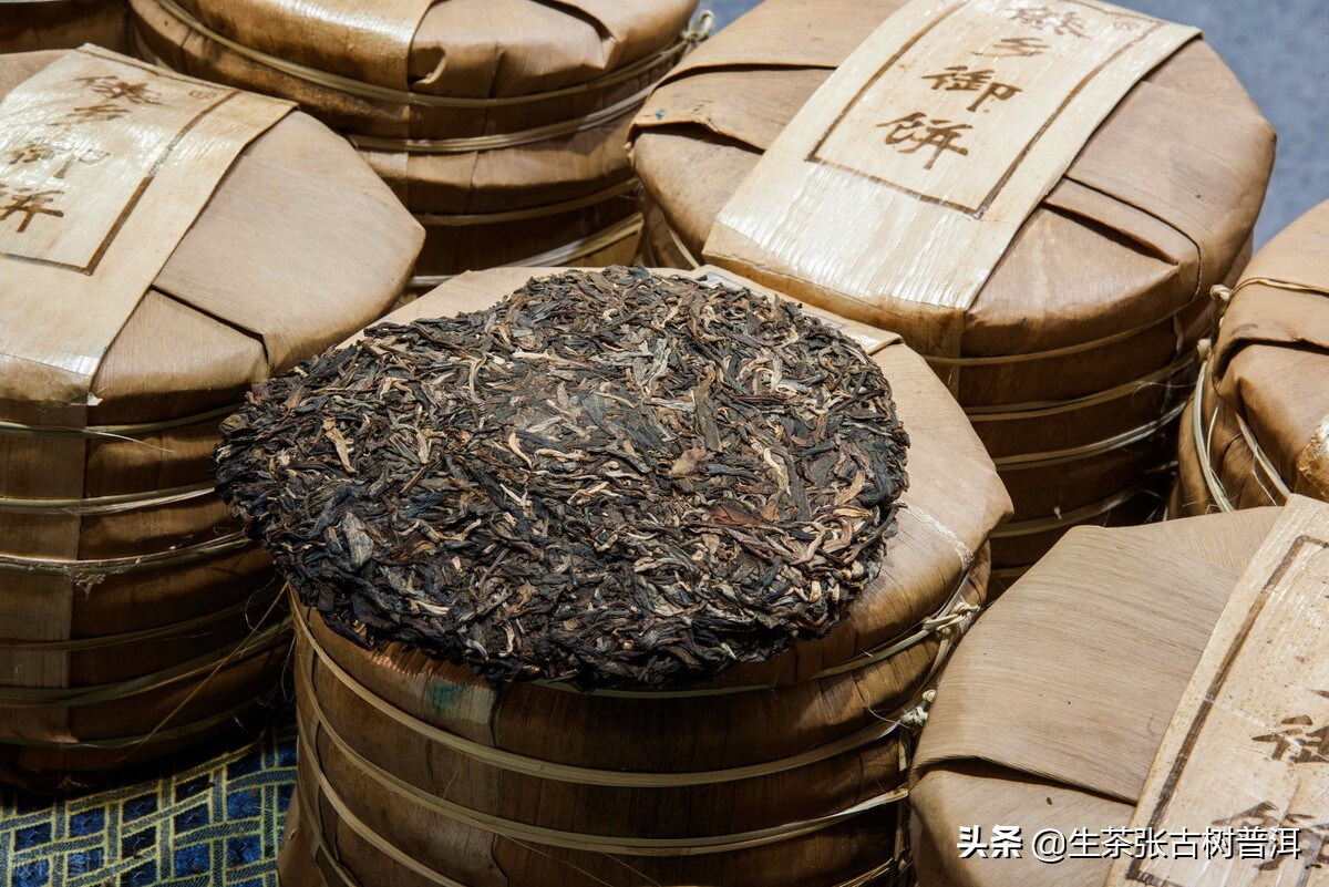 走进普洱茶临沧茶区，详细了解临沧各个茶山的特点，你喝过哪个？