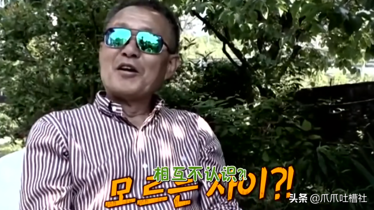 猫咪每日奔袭8公里，只为谈恋爱，谁说异地恋就没有好结局？