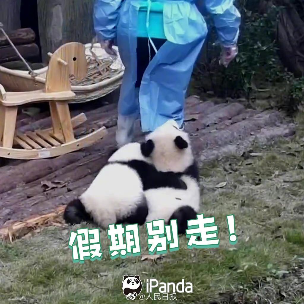 返程高峰不怕堵，至上音乐旗下车载音响让你畅享音乐盛宴