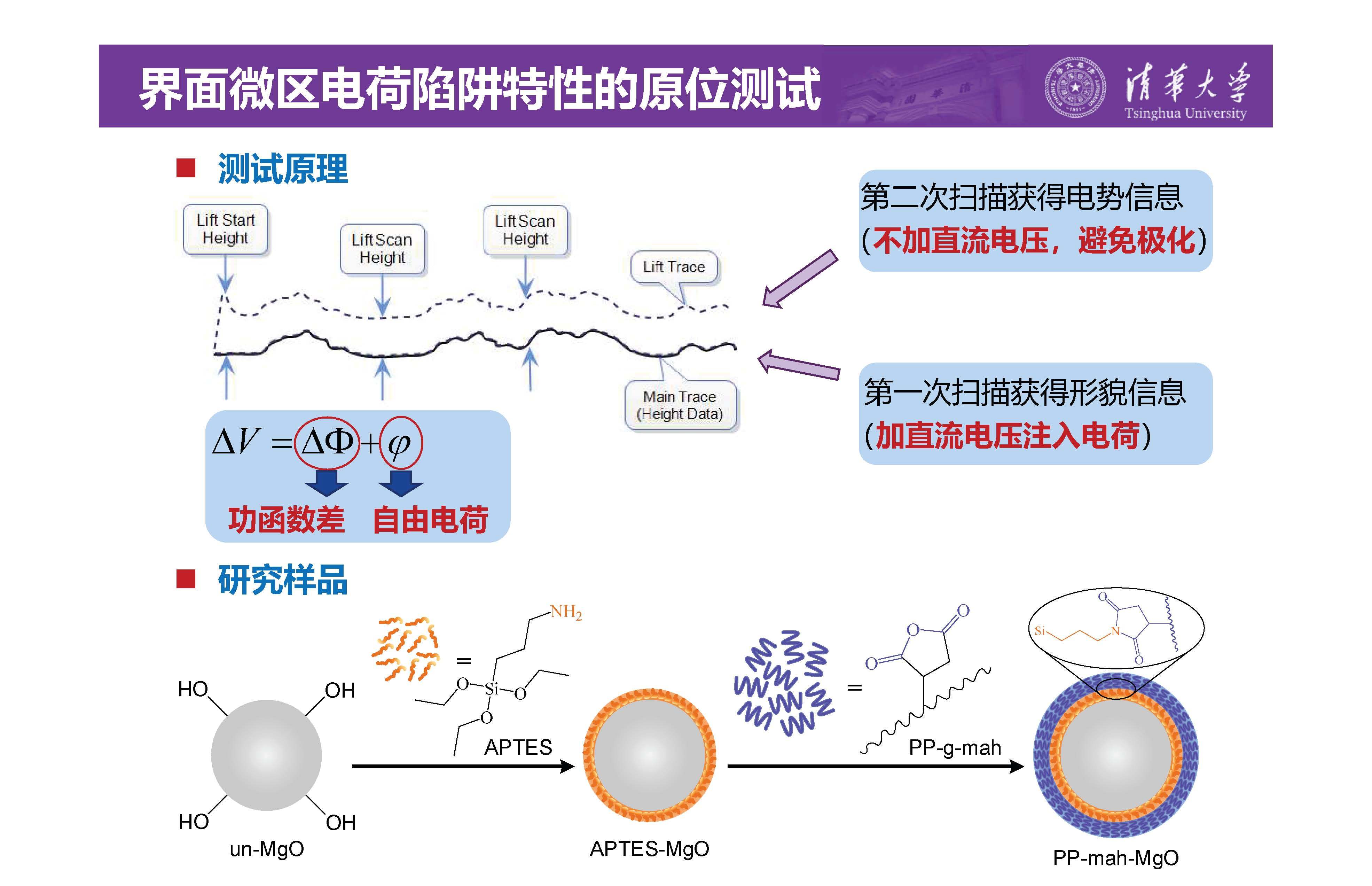 清華大學李琦副教授：介電納米復合材料界面微區的原位測試技術