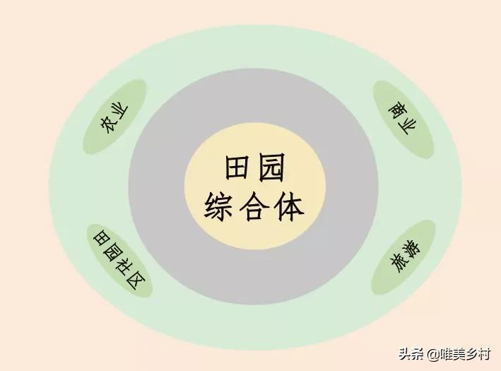 乡村振兴将给年轻人带来什么机遇？三大方向，破局“农业+”