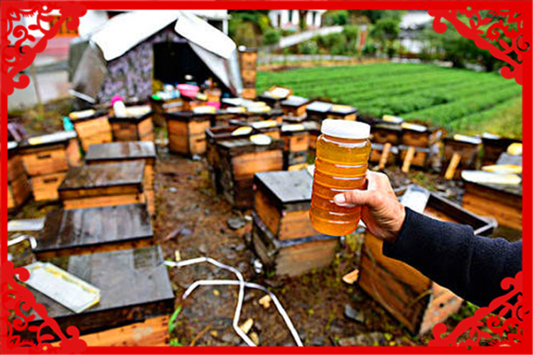 目前在农村，养殖什么风险小、回本快？这几种