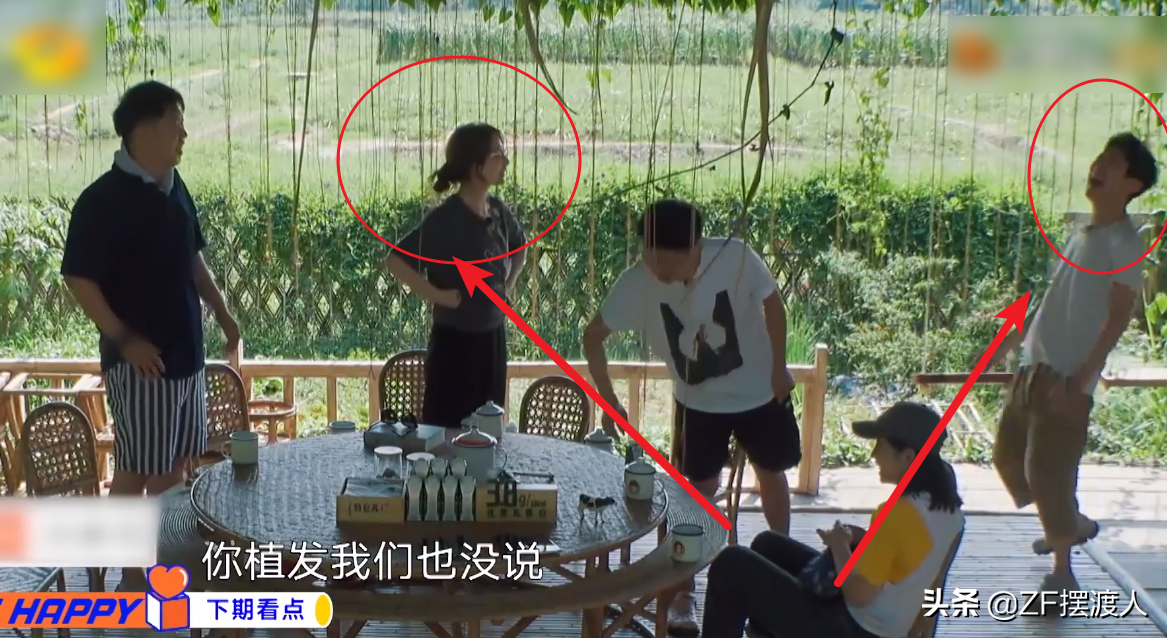 向往的生活迎来“最大牌”嘉宾，指手画脚监督其他人干活