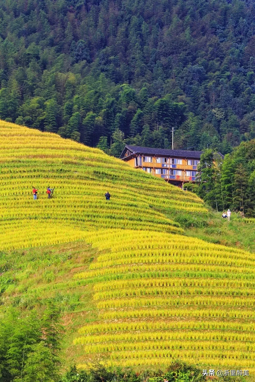 10 ancient towns with beautiful autumn colors, if you are tired, go to stay for a few days