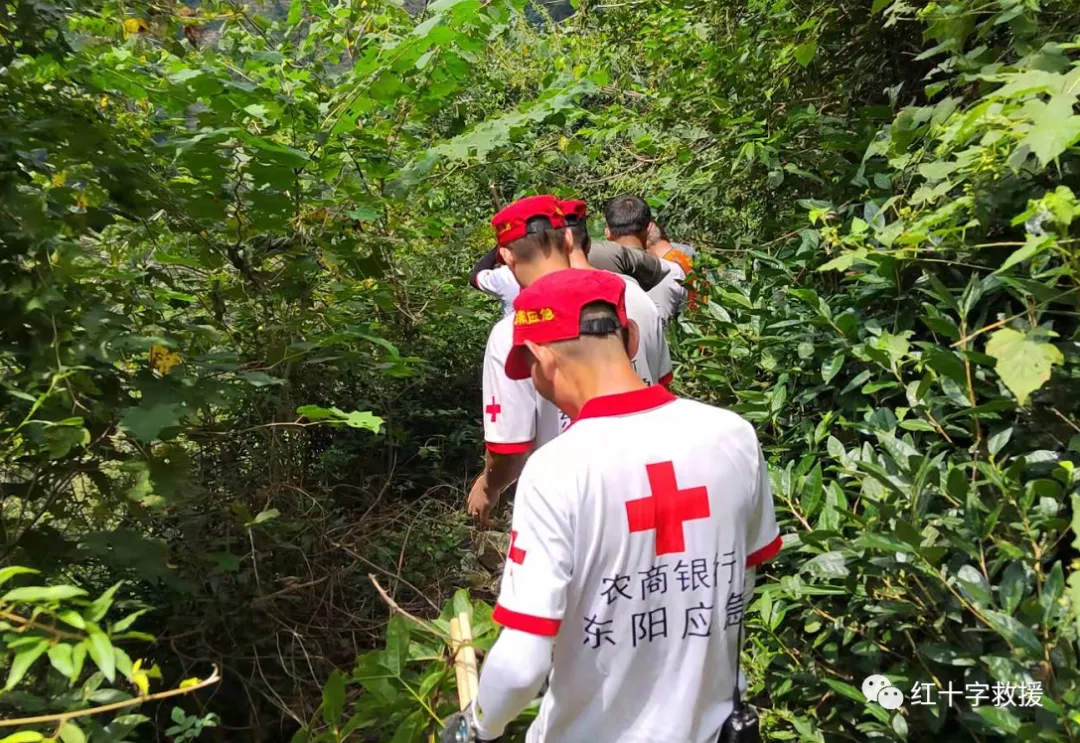 虎鹿一村民采摘香榧不慎受伤,救援队员接力将其运送下山