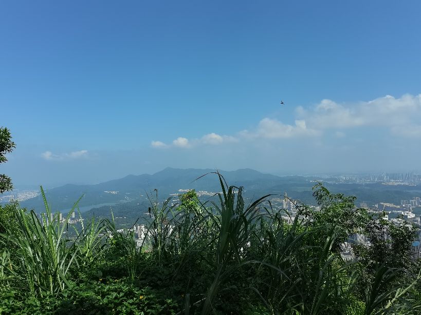 如何成为一名优秀的写作者？