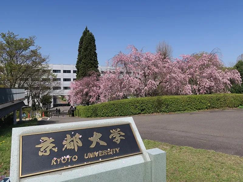 日本留学：零基础跨专业也能上岸！京大九大经济学双合格