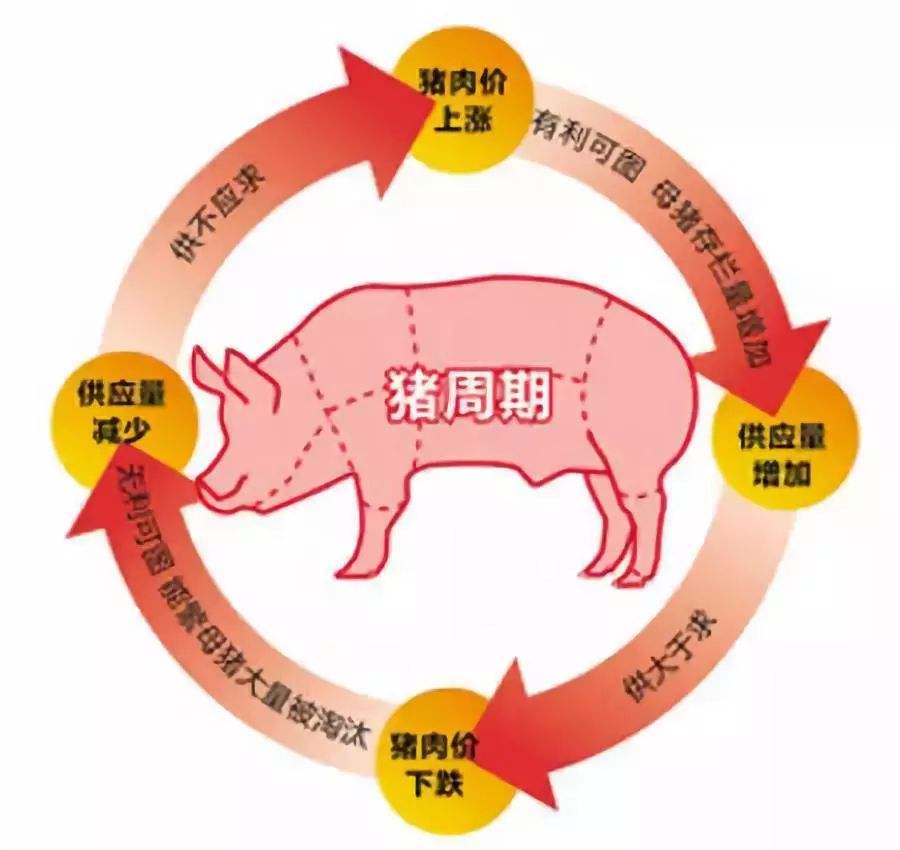 猪价大跌9.84元，猪周期下行“拐点”到来？看完不纠结了