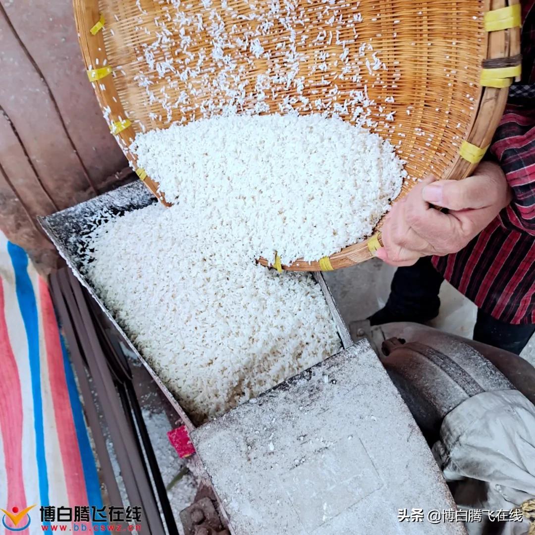 博白每年冬至必做的落水包！一种让人吃了还想再吃的特色美食..