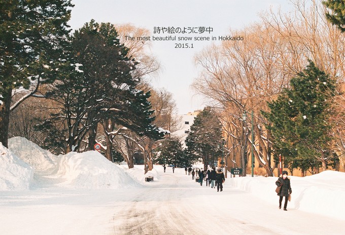 How to play in Japan for the first time?  Raiders play dry goods (with recommended routes in Japan)