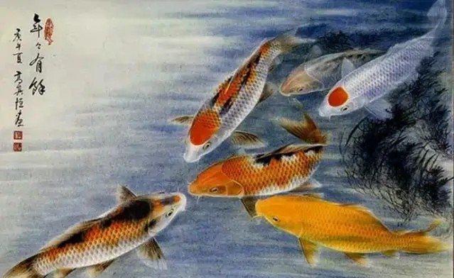 魚(yú)，太漂亮了