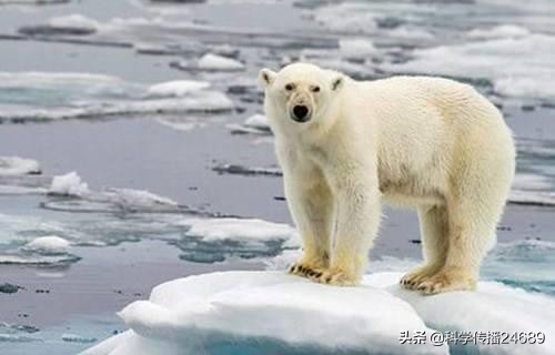 流浪地球里大气被木星捕获，可地球的大气是怎么来的？