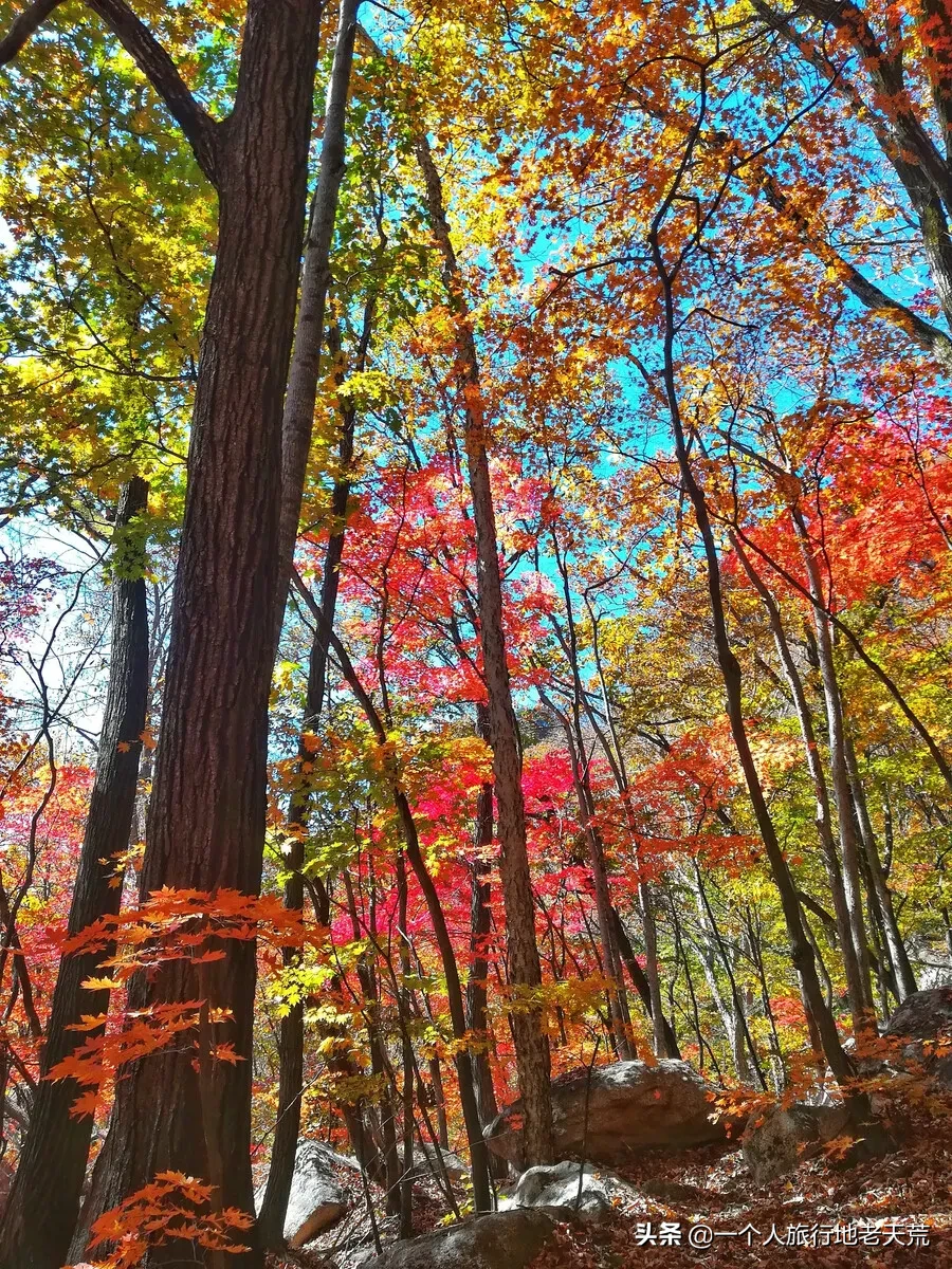 中国最大最美的边境城市，10月将迎来颜值巅峰